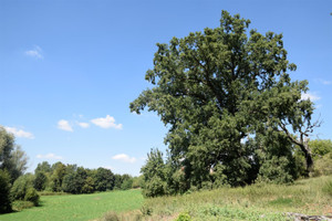 Dom na sprzedaż 124m2 gnieźnieński Mieleszyn Mielno - zdjęcie 2