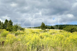 Działka na sprzedaż 1257m2 karkonoski Jeżów Sudecki Dziwiszów - zdjęcie 3