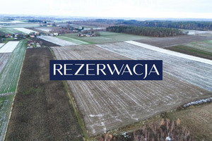 Działka na sprzedaż płoński Załuski Kamienica-Wygoda - zdjęcie 2