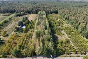 Działka na sprzedaż grójecki Pniewy Michrów - zdjęcie 2