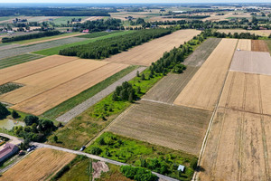 Działka na sprzedaż płoński Załuski Kamienica - zdjęcie 2