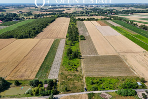 Działka na sprzedaż płoński Załuski Kamienica - zdjęcie 3