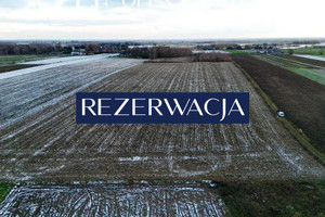 Działka na sprzedaż płoński Załuski Kamienica-Wygoda - zdjęcie 3