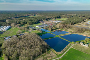 Działka na sprzedaż 2293m2 szamotulski Obrzycko Zielonagóra Stobnicka - zdjęcie 2