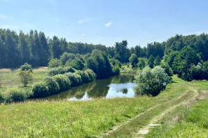 Dom do wynajęcia 110m2 poznański Swarzędz Gruszczyn Leśna - zdjęcie 3