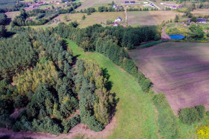 Działka na sprzedaż 1557m2 nowotomyski Nowy Tomyśl Przyłęk Leśna - zdjęcie 1