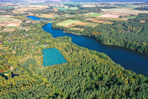 Działka na sprzedaż obornicki Rogoźno Nienawiszcz - zdjęcie 1