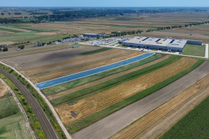 Działka na sprzedaż 8500m2 słupecki Słupca Kotunia - zdjęcie 3