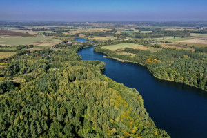 Działka na sprzedaż obornicki Rogoźno Nienawiszcz - zdjęcie 3