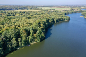 Działka na sprzedaż obornicki Rogoźno Nienawiszcz - zdjęcie 2