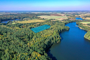 Działka na sprzedaż obornicki Rogoźno Nienawiszcz - zdjęcie 2