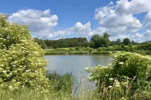 Działka na sprzedaż 10100m2 obornicki Rogoźno Nienawiszcz - zdjęcie 2