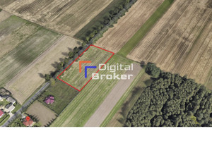 Działka na sprzedaż 6638m2 zgierski Stryków Bartolin - zdjęcie 3