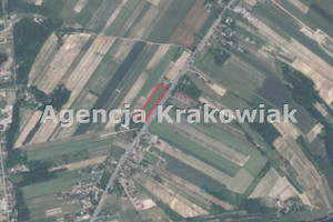 Działka na sprzedaż krakowski Michałowice Zerwana - zdjęcie 2