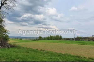 Działka na sprzedaż 3100m2 krakowski Słomniki - zdjęcie 2