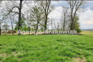 Działka na sprzedaż 3100m2 krakowski Słomniki - zdjęcie 3