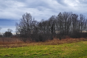 Działka na sprzedaż namysłowski Wilków - zdjęcie 1