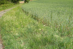 Działka na sprzedaż 1000m2 Opole Czarnowąsy - zdjęcie 1