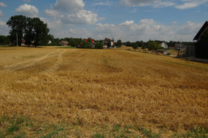 Działka na sprzedaż 1000m2 opolski Prószków Ligota Prószkowska - zdjęcie 1