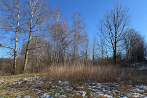 Działka na sprzedaż nyski Głuchołazy Jarnołtówek - zdjęcie 3