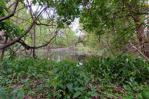 Działka na sprzedaż 3904m2 warszawski zachodni Stare Babice Wojcieszyn - zdjęcie 2