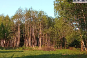 Działka na sprzedaż grodziski Grodzisk Mazowiecki Radonie - zdjęcie 3