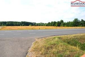 Działka na sprzedaż 26200m2 sochaczewski Nowa Sucha Stary Dębsk - zdjęcie 2