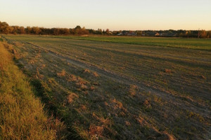 Działka na sprzedaż 5300m2 kozienicki Grabów nad Pilicą Paprotnia - zdjęcie 3