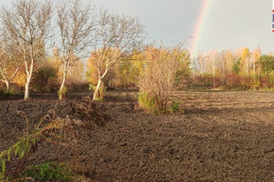 Działka na sprzedaż pruszkowski Brwinów Koszajec - zdjęcie 3