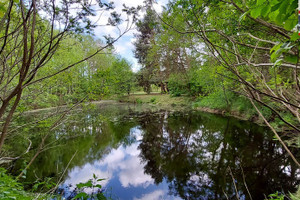 Działka na sprzedaż 3904m2 warszawski zachodni Stare Babice Wojcieszyn - zdjęcie 1