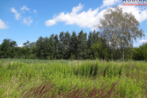 Działka na sprzedaż pruszkowski Pruszków - zdjęcie 1