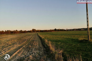 Działka na sprzedaż 5300m2 kozienicki Grabów nad Pilicą Paprotnia - zdjęcie 1