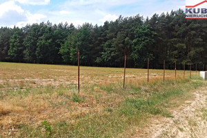 Działka na sprzedaż 20000m2 warszawski zachodni Kampinos Komorów - zdjęcie 1