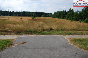 Działka na sprzedaż 26200m2 sochaczewski Nowa Sucha Stary Dębsk - zdjęcie 1