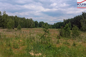 Działka na sprzedaż 1154m2 warszawski zachodni Kampinos Komorów - zdjęcie 2