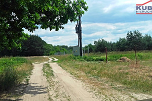 Działka na sprzedaż 20000m2 warszawski zachodni Kampinos Komorów - zdjęcie 2