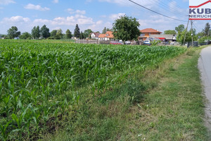 Działka na sprzedaż grodziski Baranów Żaby - zdjęcie 2