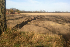 Działka na sprzedaż 18000m2 grodziski Baranów Żaby - zdjęcie 1