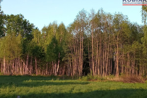 Działka na sprzedaż grodziski Grodzisk Mazowiecki Radonie - zdjęcie 2