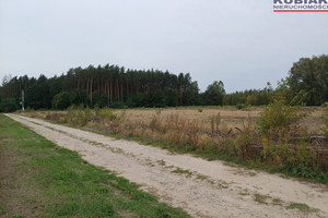 Działka na sprzedaż grodziski Żabia Wola Osowiec - zdjęcie 2