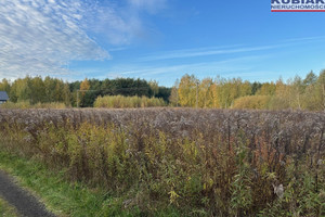 Działka na sprzedaż 1500m2 pruszkowski Brwinów Milęcin - zdjęcie 3