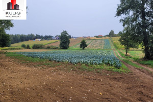 Działka na sprzedaż 10000m2 krakowski Kocmyrzów-Luborzyca Łuczyce - zdjęcie 1