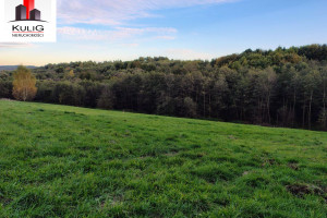 Działka na sprzedaż 3000m2 wielicki Wieliczka Chorągwica - zdjęcie 1