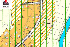 Działka na sprzedaż 3700m2 bocheński Drwinia Grobla Drwinia - zdjęcie 2