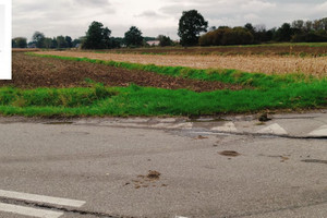 Działka na sprzedaż 7000m2 Kraków Nowa Huta Przylasek Rusiecki - zdjęcie 1