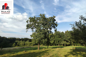 Działka na sprzedaż 15500m2 wielicki Wieliczka Chorągwica - zdjęcie 3