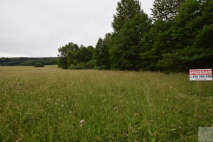 Działka na sprzedaż 2000m2 krośnieński Dukla Wola Niżna - zdjęcie 3