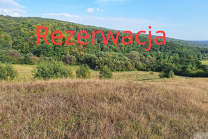 Działka na sprzedaż 120500m2 przemyski Fredropol Huwniki - zdjęcie 1