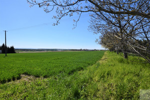 Działka na sprzedaż 3300m2 jarosławski Pawłosiów Widna Góra - zdjęcie 3