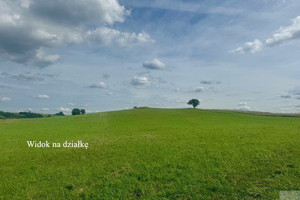 Działka na sprzedaż 12500m2 przemyski Fredropol - zdjęcie 2